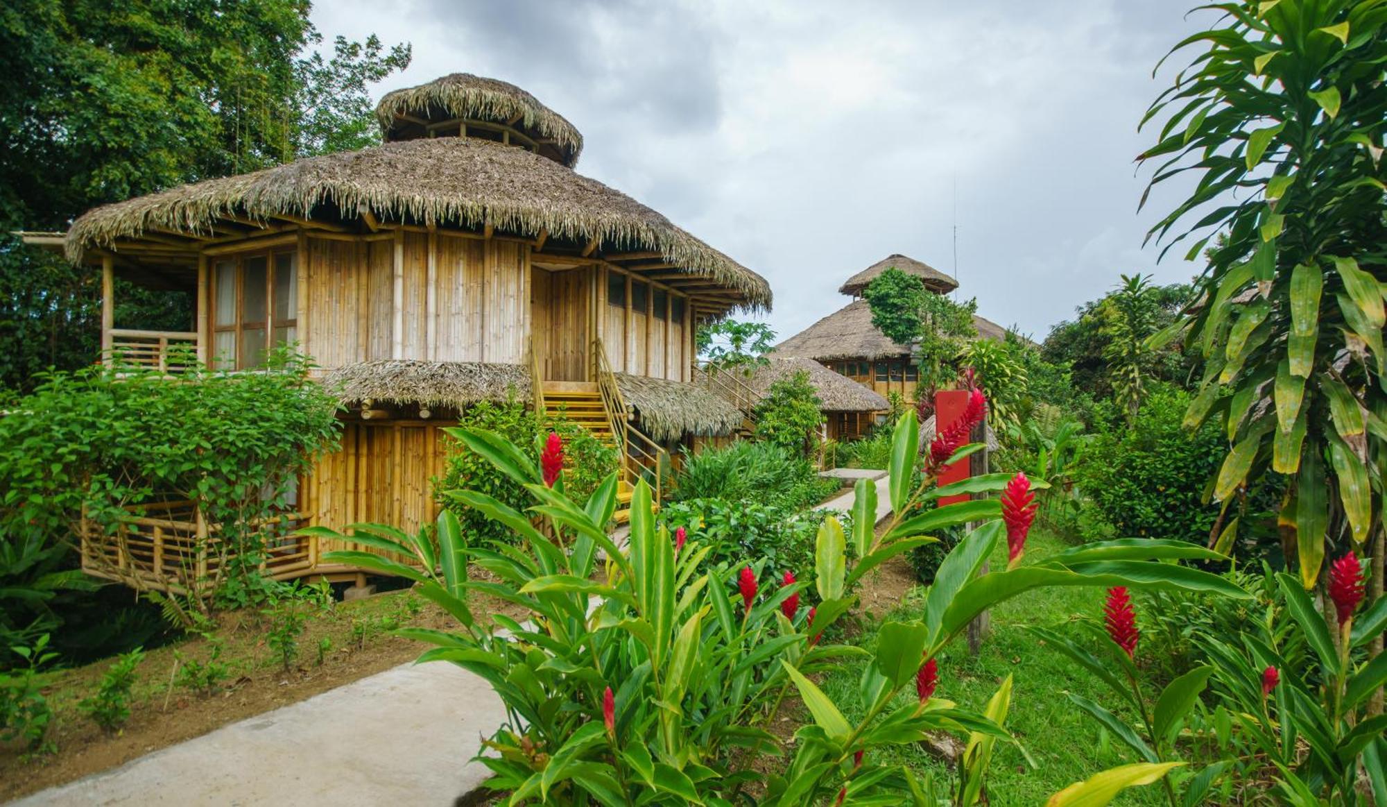 La Selva Eco-Lodge & Retreat Providencia Zewnętrze zdjęcie