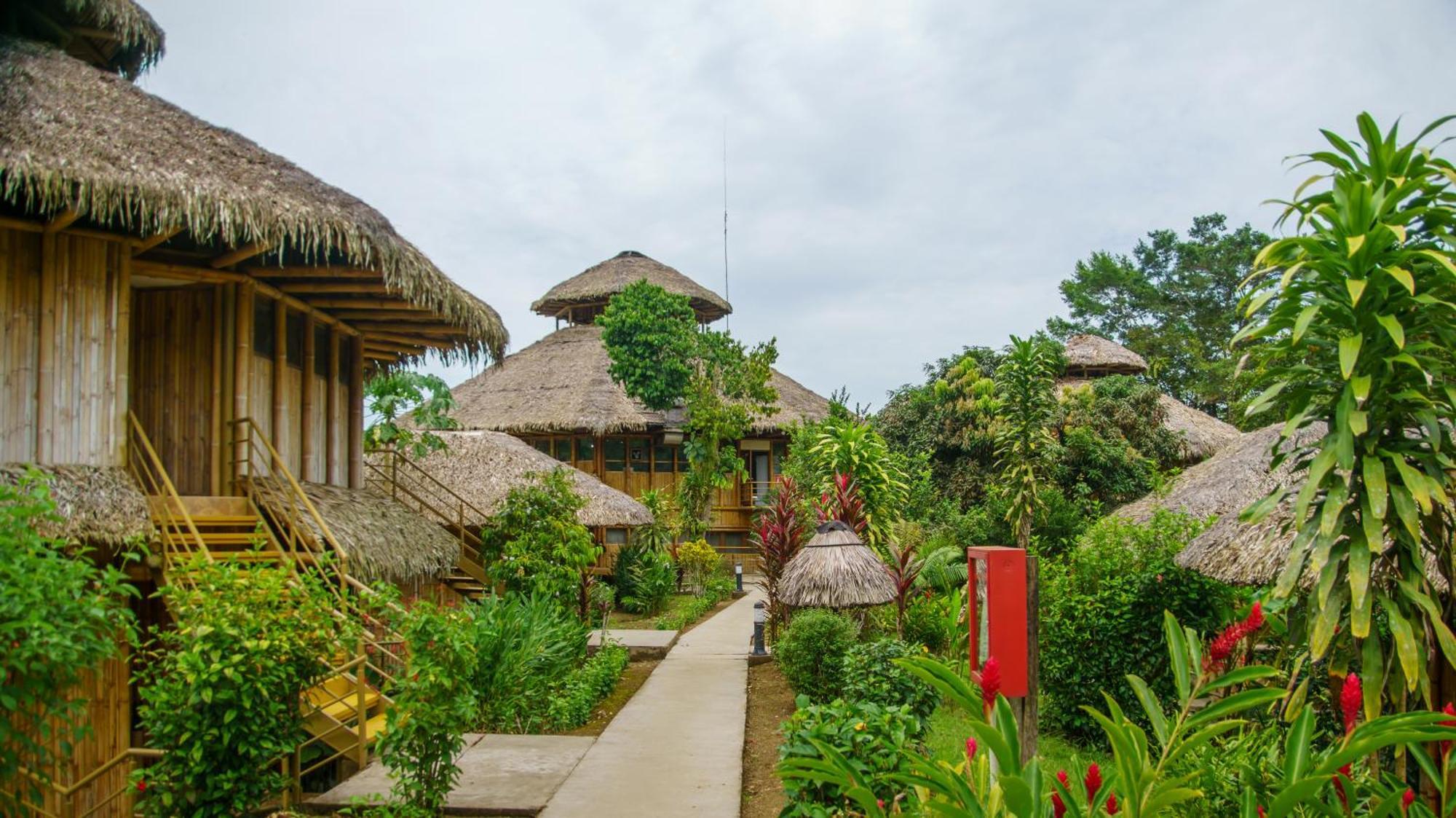 La Selva Eco-Lodge & Retreat Providencia Zewnętrze zdjęcie