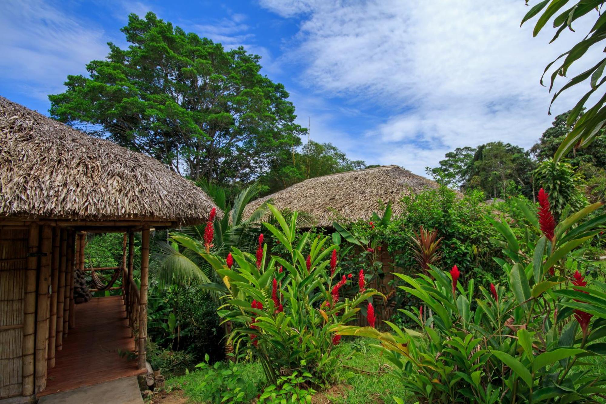 La Selva Eco-Lodge & Retreat Providencia Zewnętrze zdjęcie