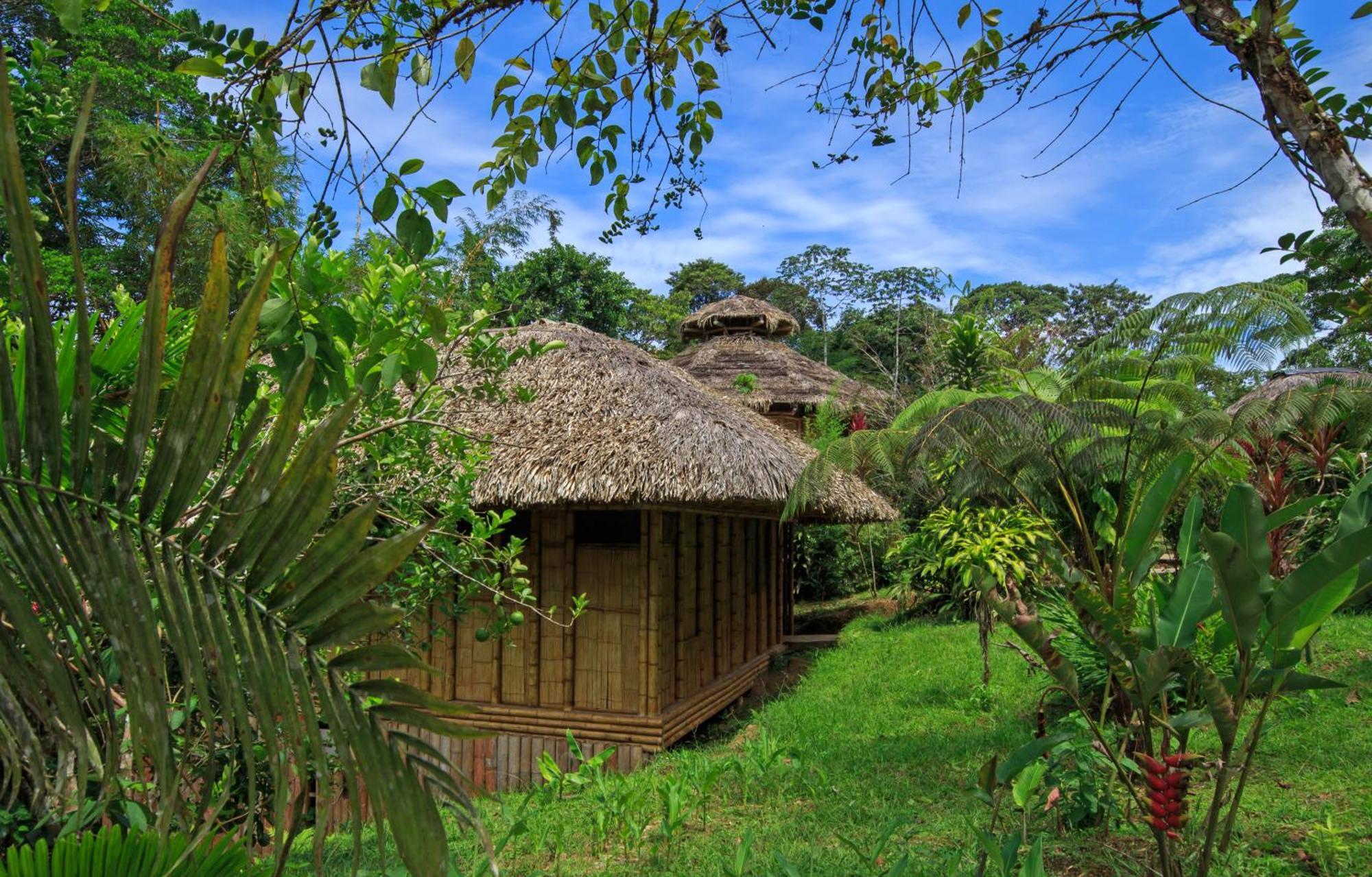 La Selva Eco-Lodge & Retreat Providencia Zewnętrze zdjęcie