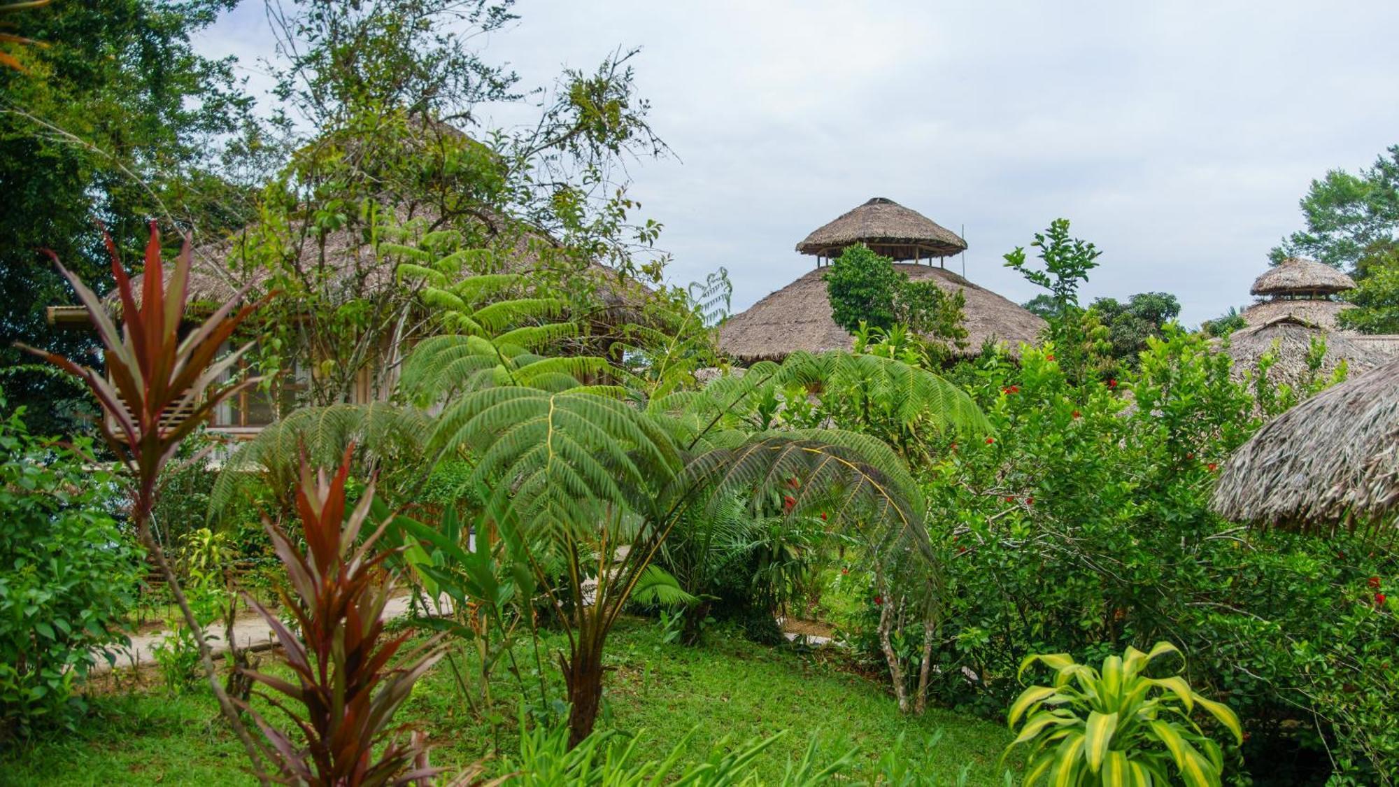 La Selva Eco-Lodge & Retreat Providencia Zewnętrze zdjęcie