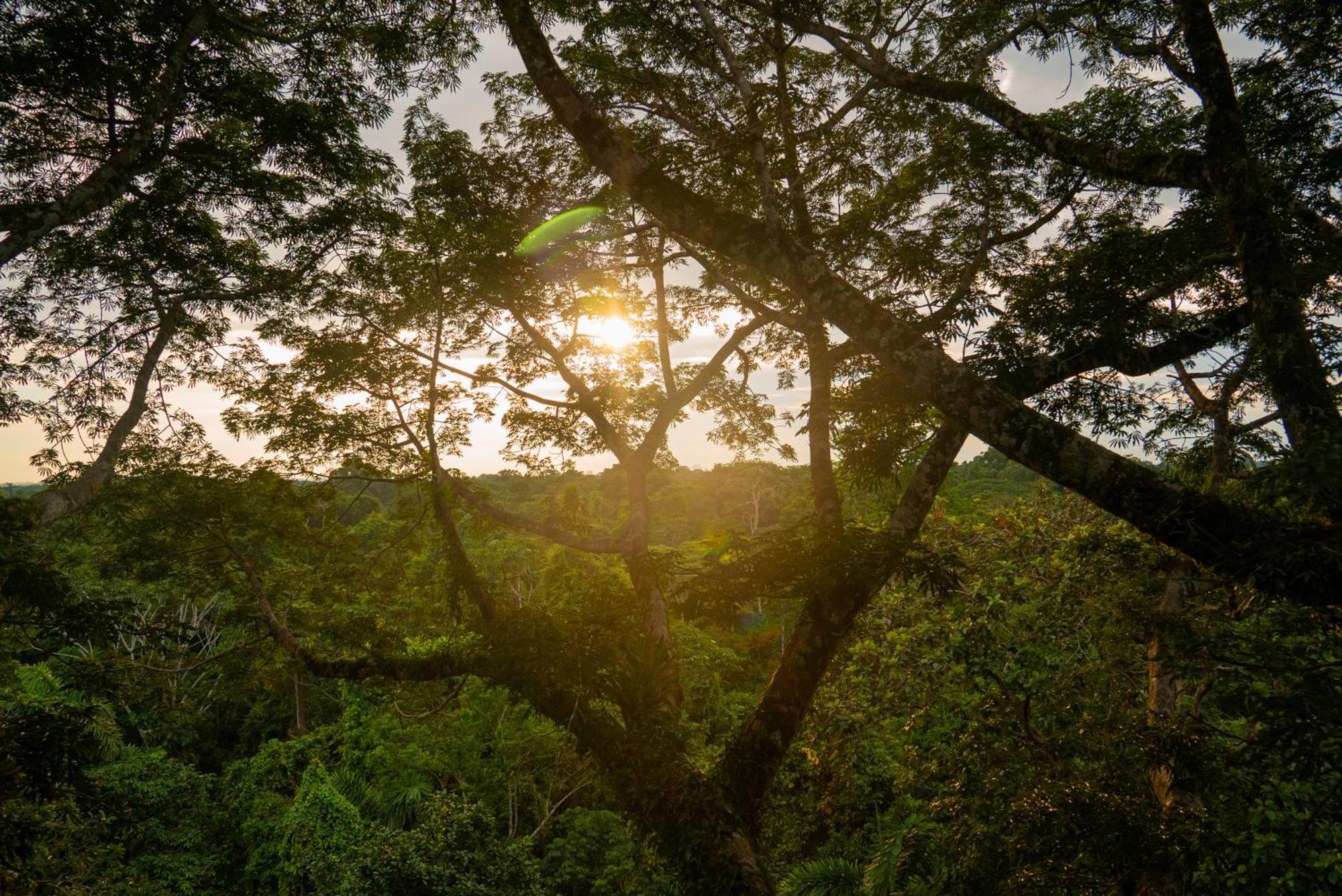 La Selva Eco-Lodge & Retreat Providencia Zewnętrze zdjęcie