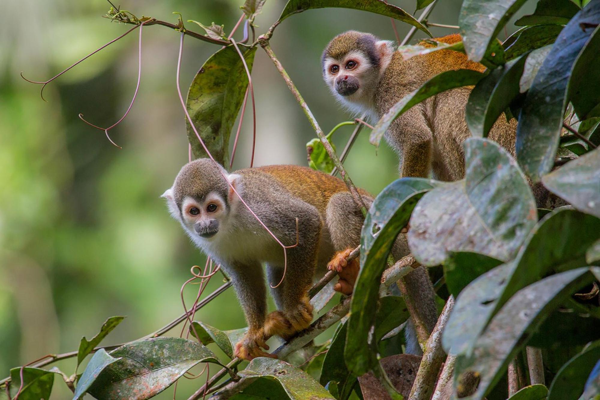 La Selva Eco-Lodge & Retreat Providencia Zewnętrze zdjęcie